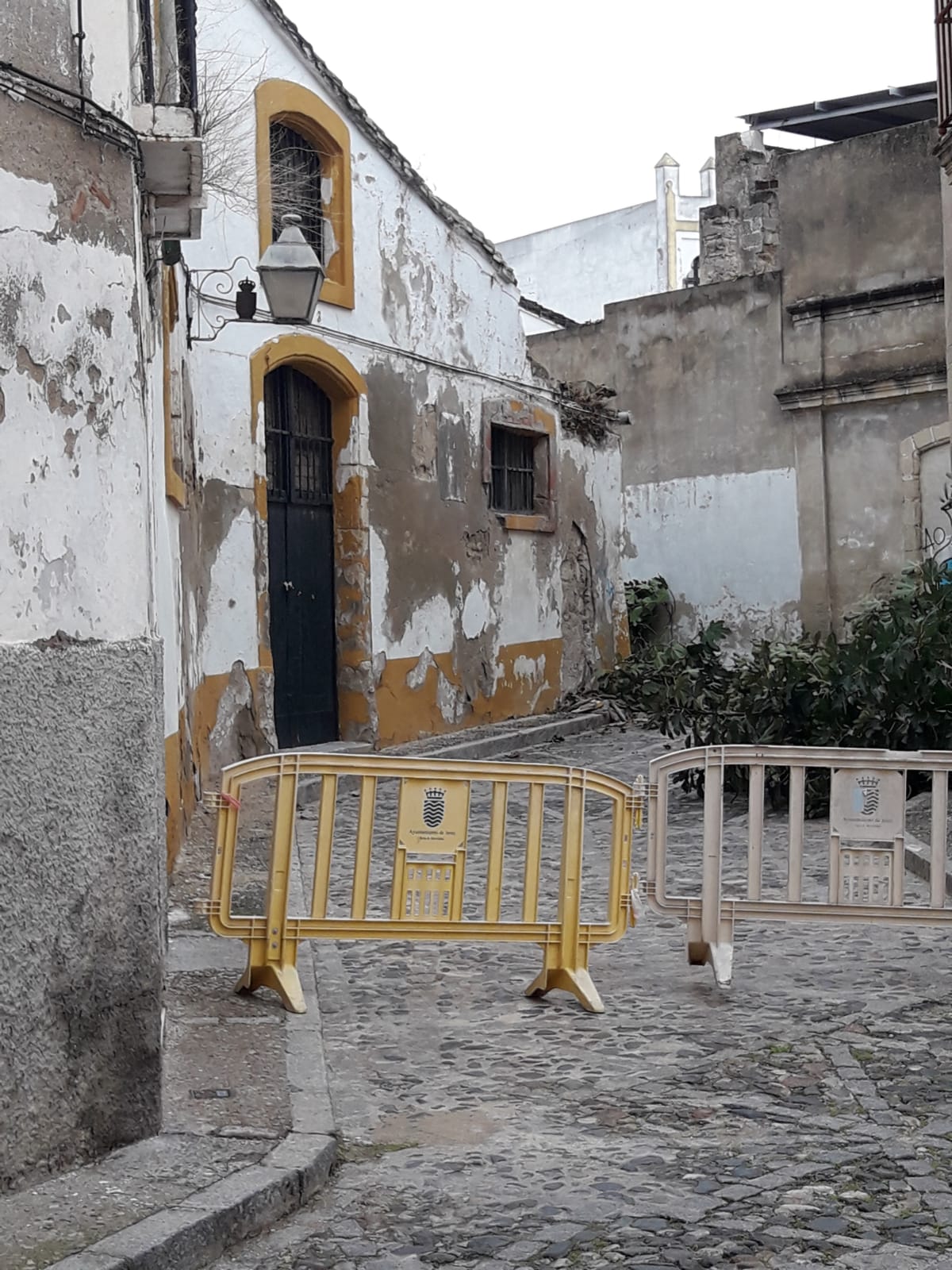 Restos de la higuera y corte de la calle del Rincón Malillo.