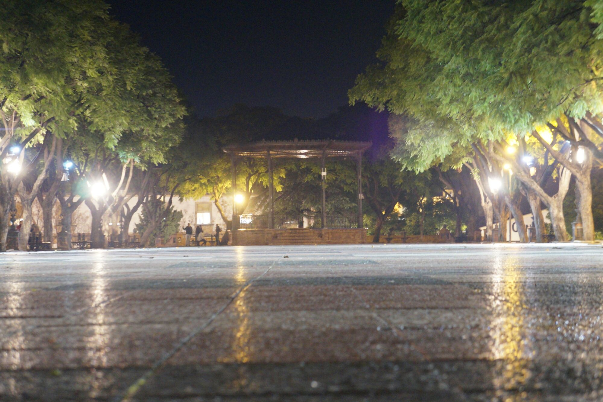 Oleada de atracos con violencia de bandas juveniles a adolescentes en el centro de Jerez