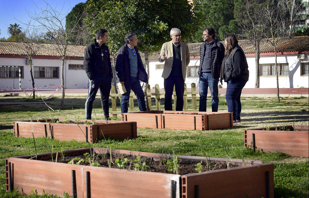 El huerto ecológico del CEIP Antonio Machado.