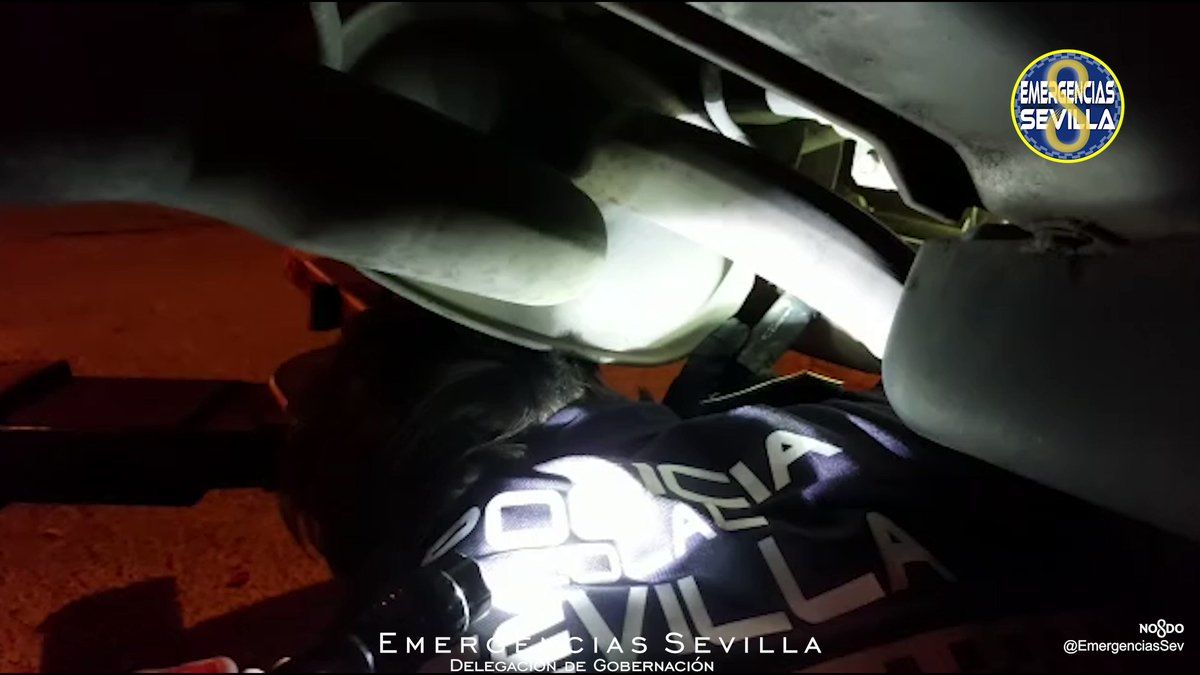 Un gatito atrapado en la zona del motor de un coche y un final muy feliz en Sevilla.