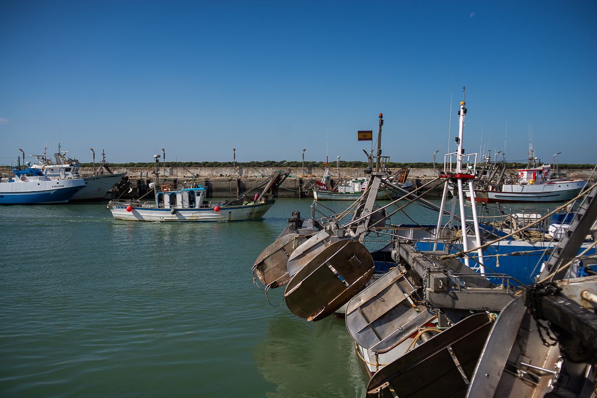 Puerto de Sanlúcar de Barrameda. Noticia: La pesquería de cerco del Golfo de Cádiz se ahoga: "El boquerón tuvo un precio medio de un euro el kilo"