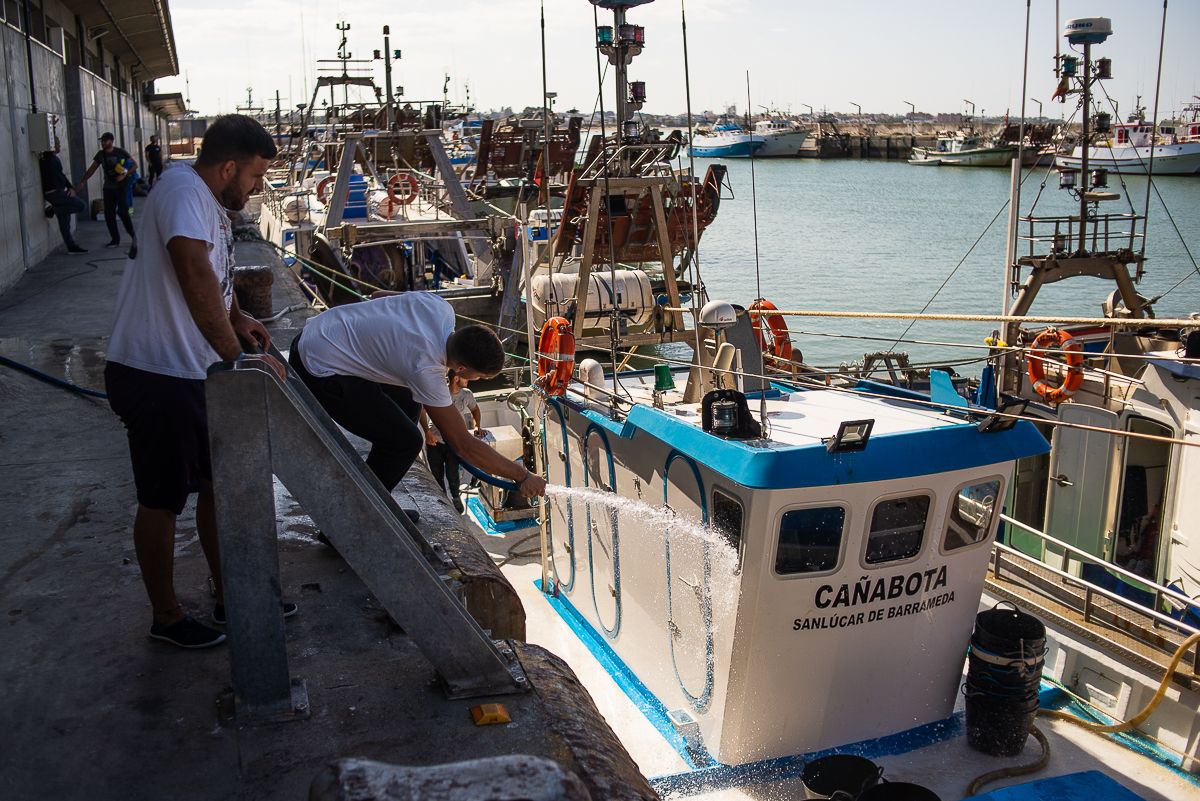 La pesca artesana en Cádiz está bajo mínimos: "Si la flota no sale, no se podrán abastecer pescaderías ni restaurantes". En la imagen, Puerto de Conil. 