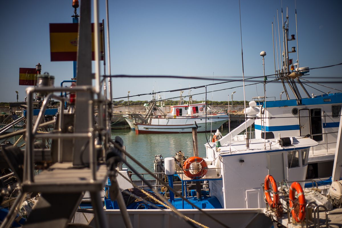La pesca andaluza cifra en "tres o cuatro millones" las perdidas tras casi dos semanas amarrados