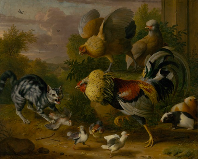 'Gato entre gallos' (1710), de Jakob Bogdani.