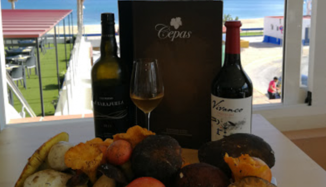 Vinos y setas en el restaurante Cepas, en una foto hecha por el propio local.