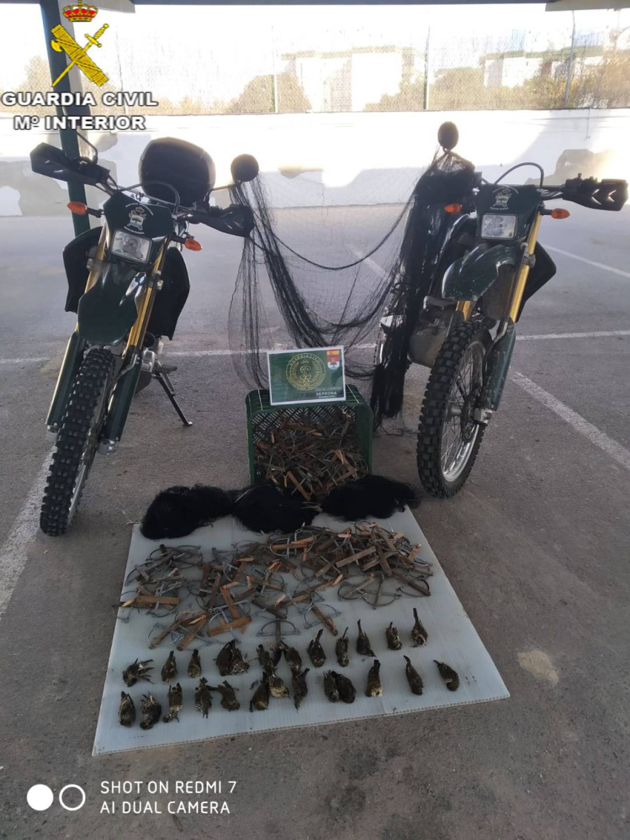 Intervenidas 25 aves insectívoras en Jerez tras ser capturadas con artes de caza ilegales