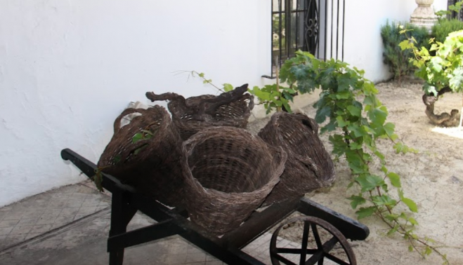 Museo del Vino de Barbadillo de Sanlucar.