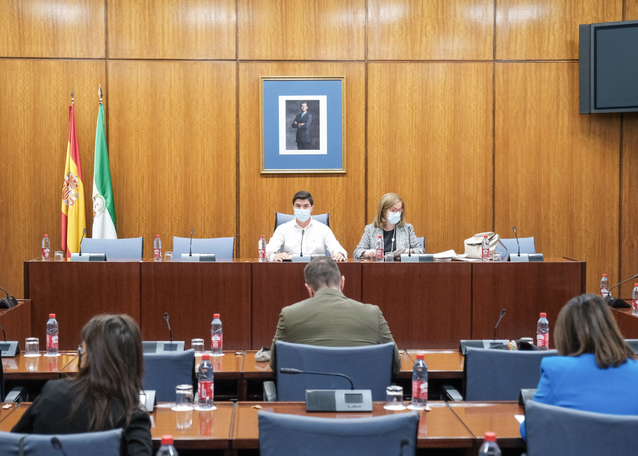Una sesión de la comisión de investigación de la Faffe en el Parlamento andaluz.