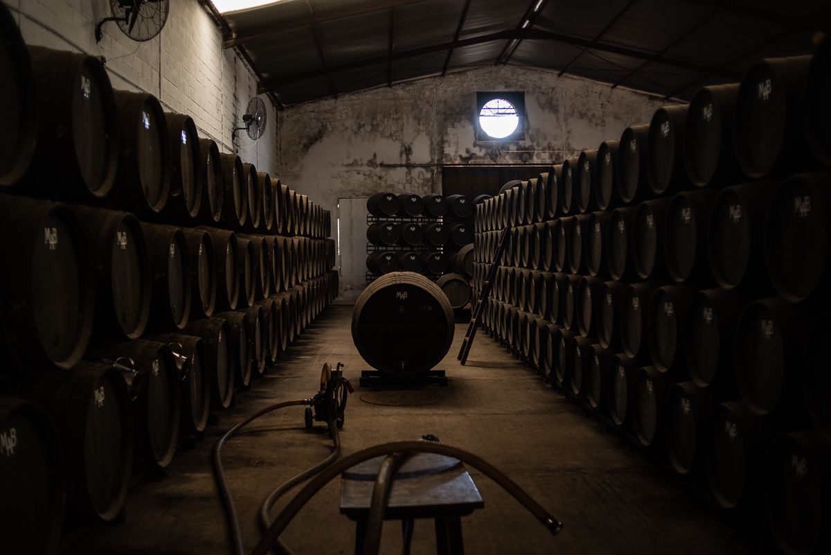 Solera de fino granero en El Sanatorio de Chiclana.