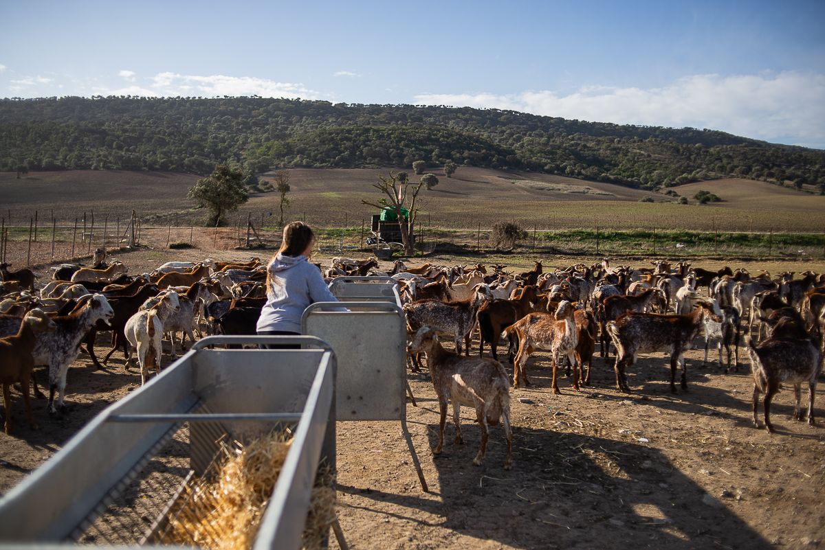 Una ganadera en una imagen de archivo.  