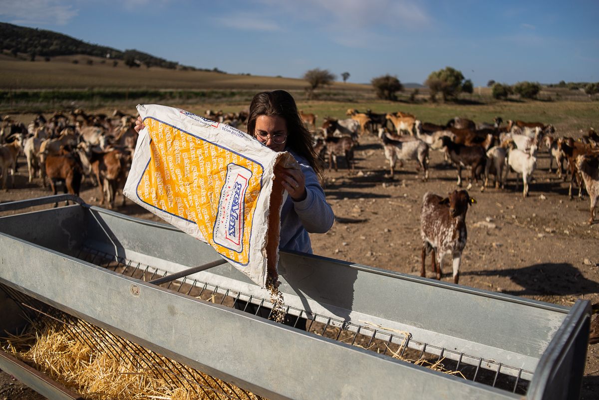 Una mujer ganadera en una imagen de archivo.