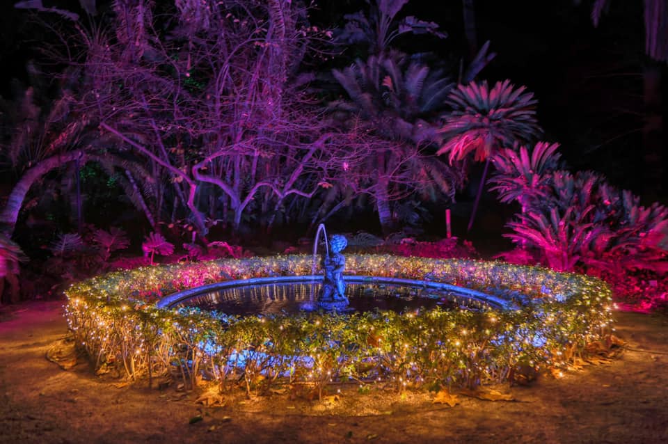 261704403 4624776464271698 8700471953978015296 n