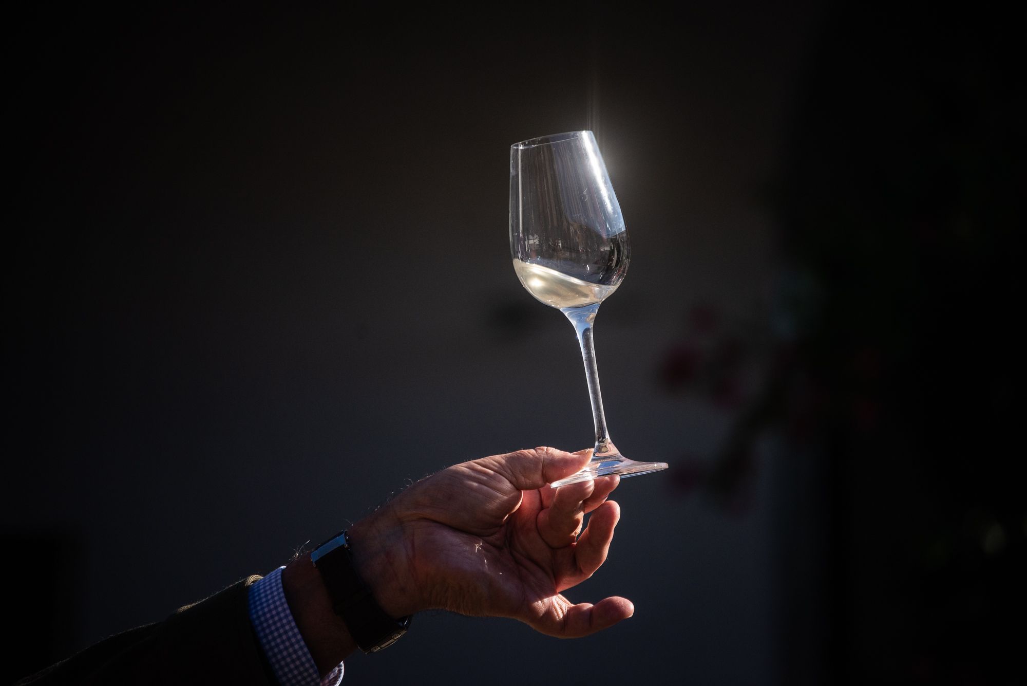 MOSTO ECOLOGICO TIO PEPE.