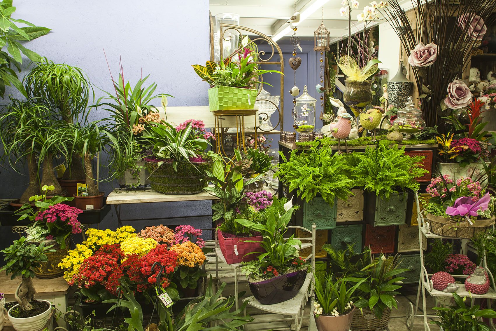 Interior de una floristería, en una imagen de archivo. 
