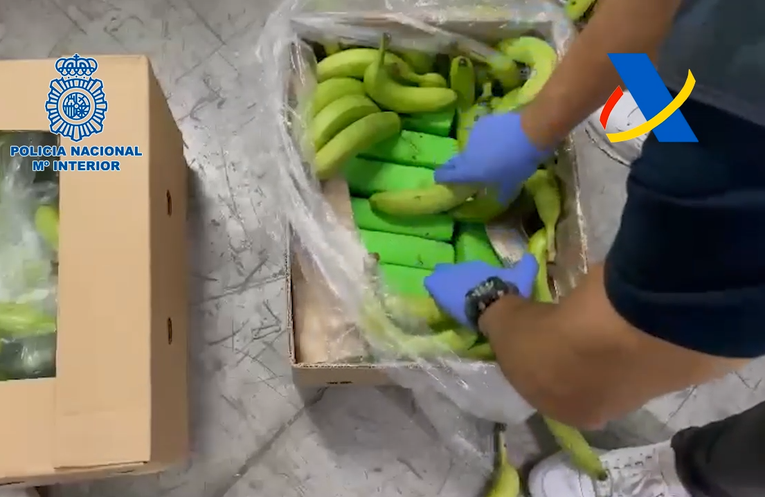 La droga incautada estaba escondida en cajas de plátanos.
