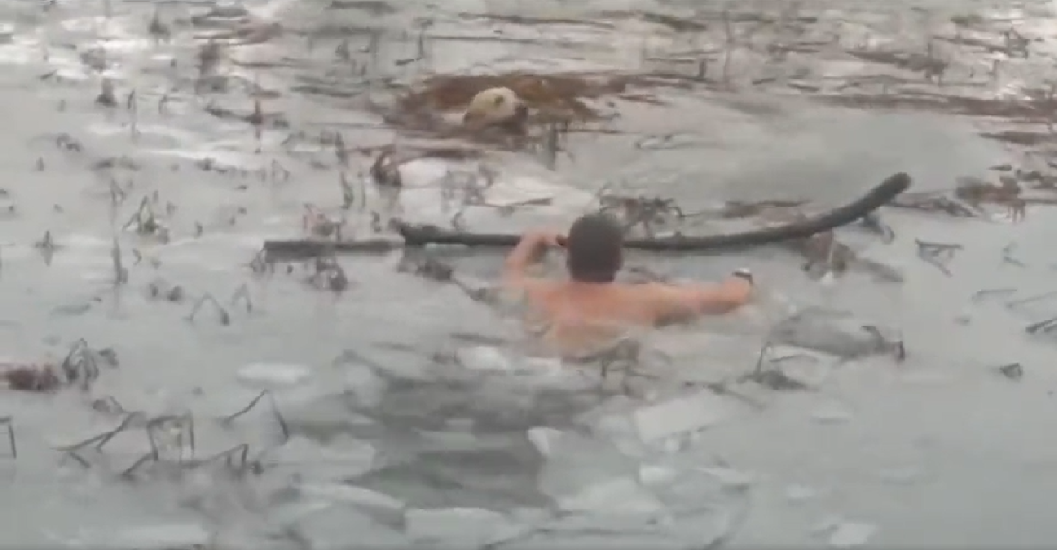El emocionante rescate de dos guardias civiles al tirarse a un lago helado para salvar a un perro 