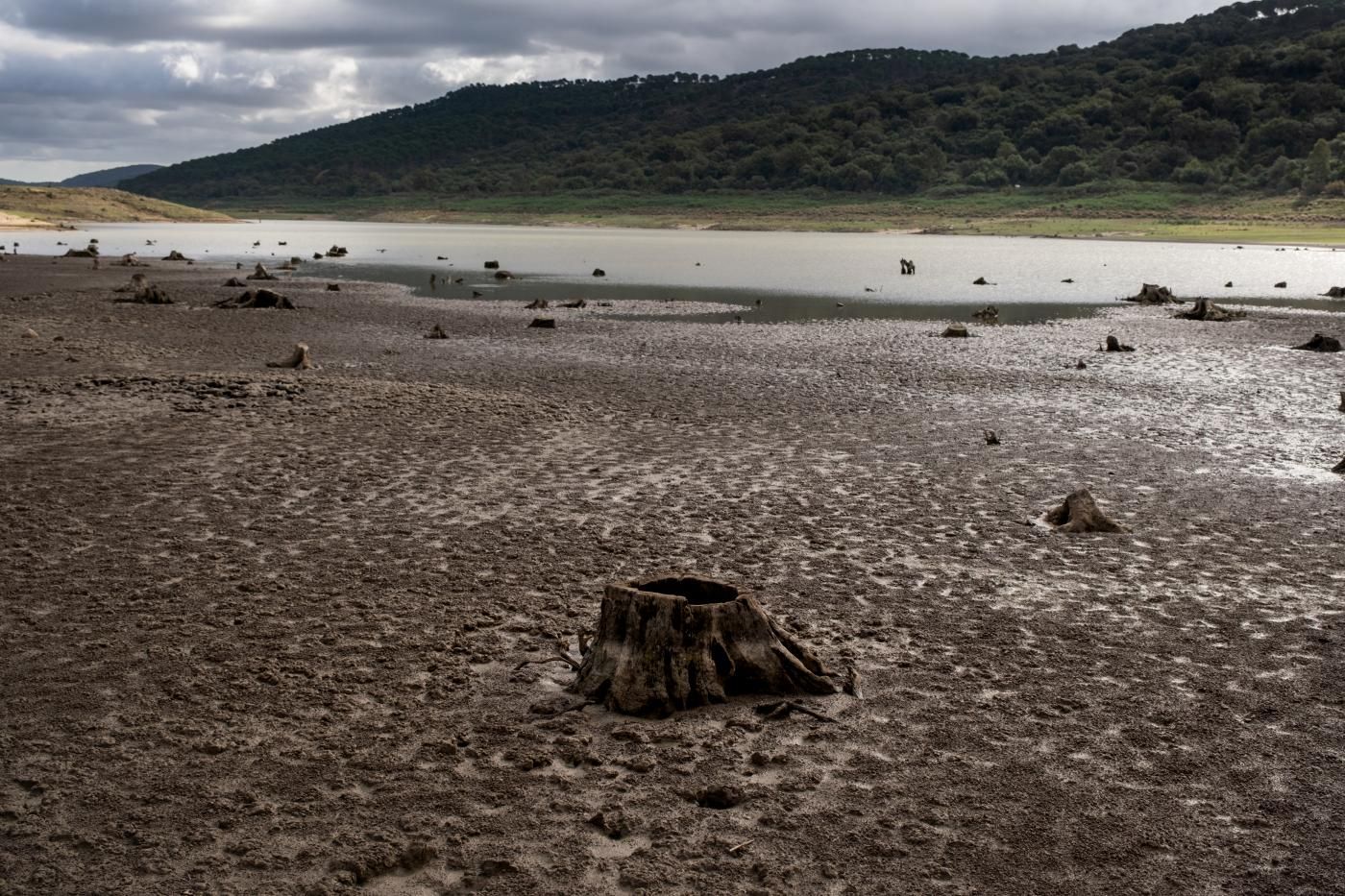 Sequía en el campo de Gibraltar.  ÁLVARO LAGOS