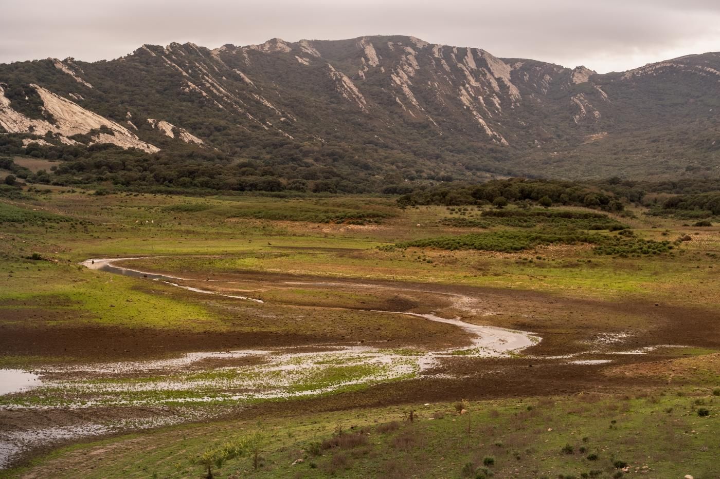 Petricor. Imagen de la sequía en el Campo de Gibraltar.