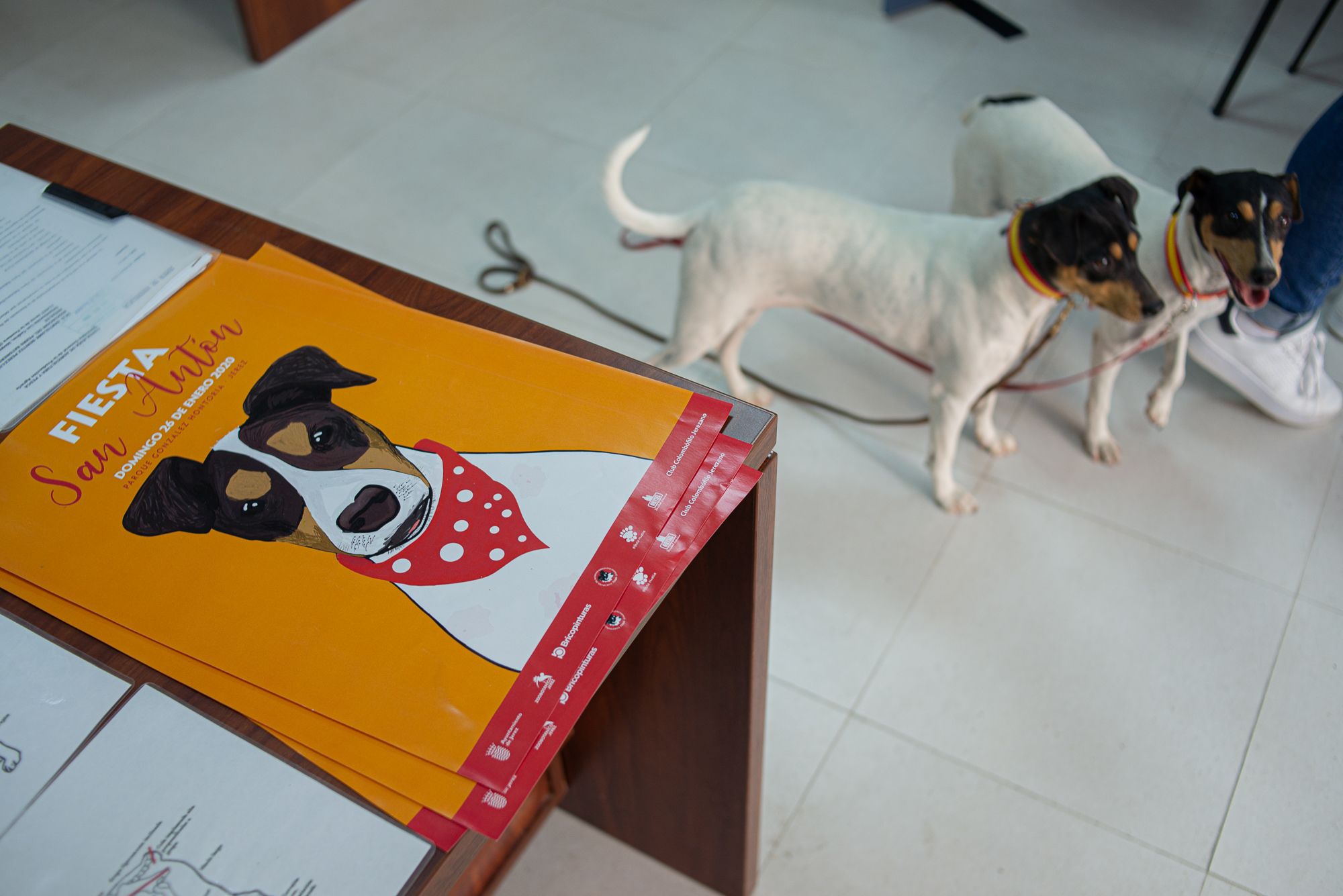 El ratonero bodeguero andaluz será reconocido a nivel mundial.