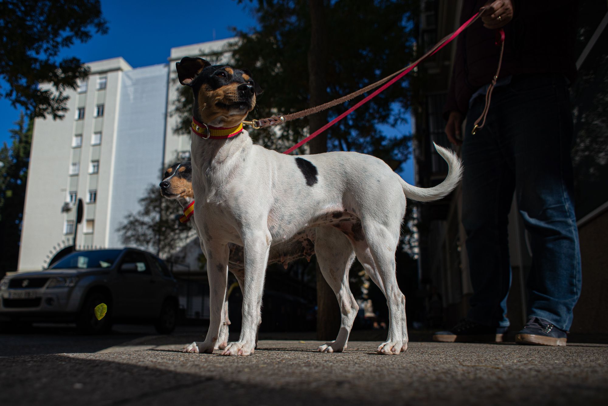 Jerez celebra la II Ruta Bodeguera este fin de semana.