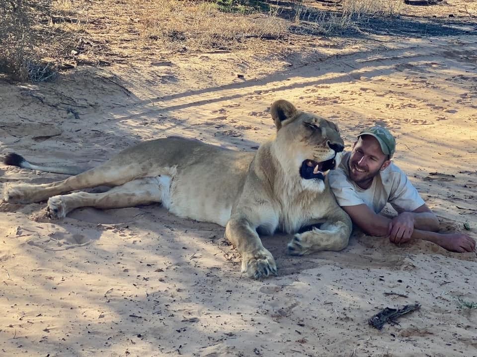 El emocionante abrazo viral de la leona Sirga y el cuidador que la rescató de pequeña.