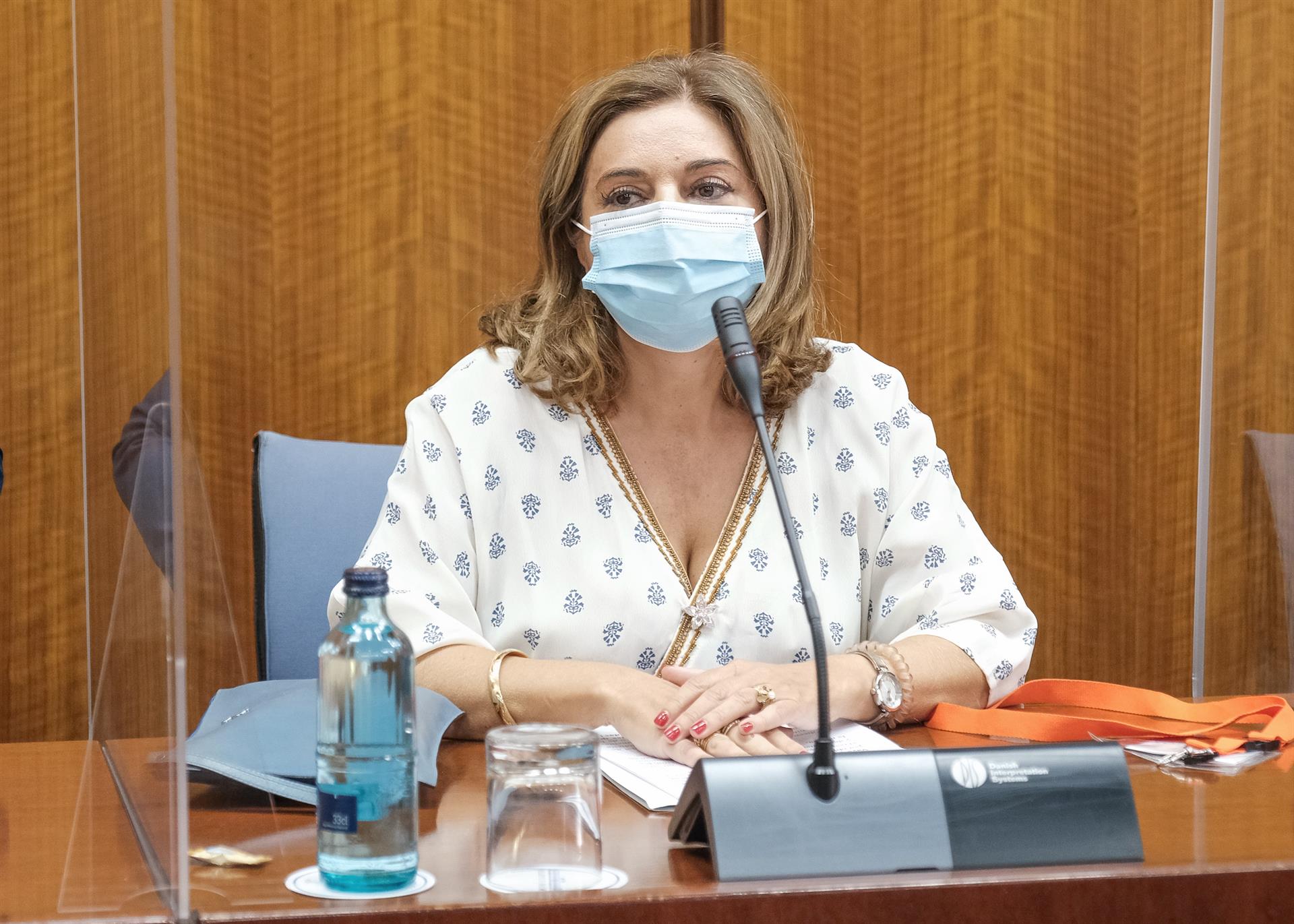 Carmen Ibanco en la comisión de investigación de la Faffe del Parlamento andaluz.