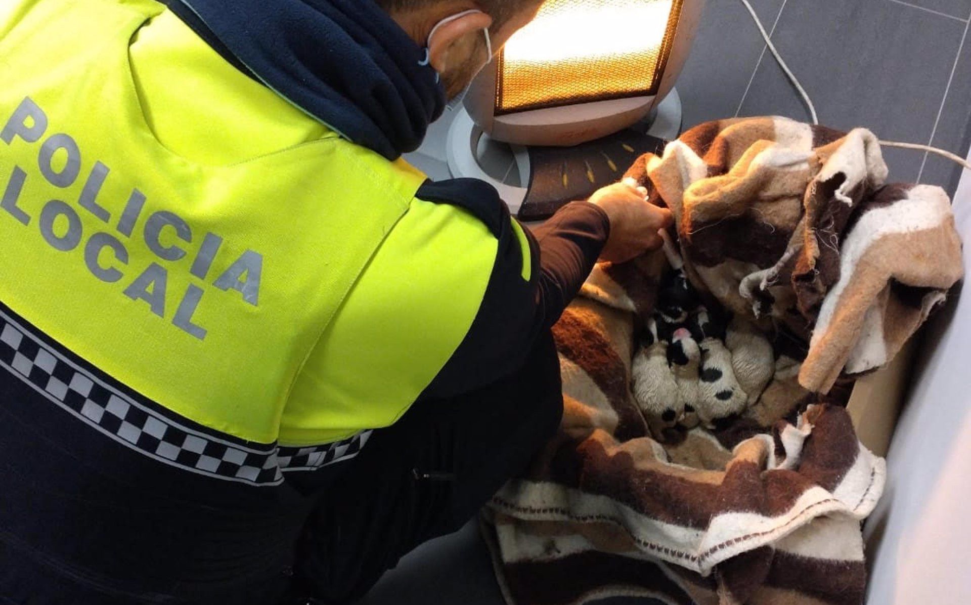 Cachorros recién nacidos encontrados en Córdoba.