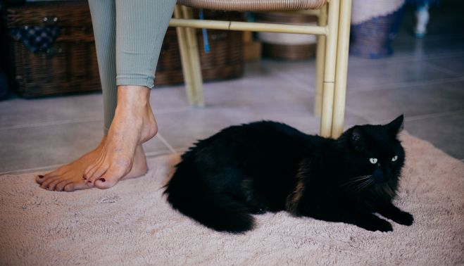 LA CASA DE PIEDRA CONIL 4