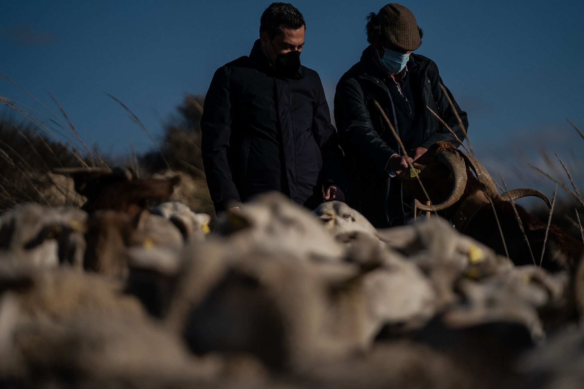 Moreno Bonilla en una explotación ganadera