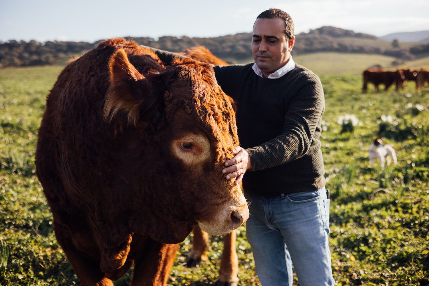 Un ganadero de Cádiz, en una foto reciente.
