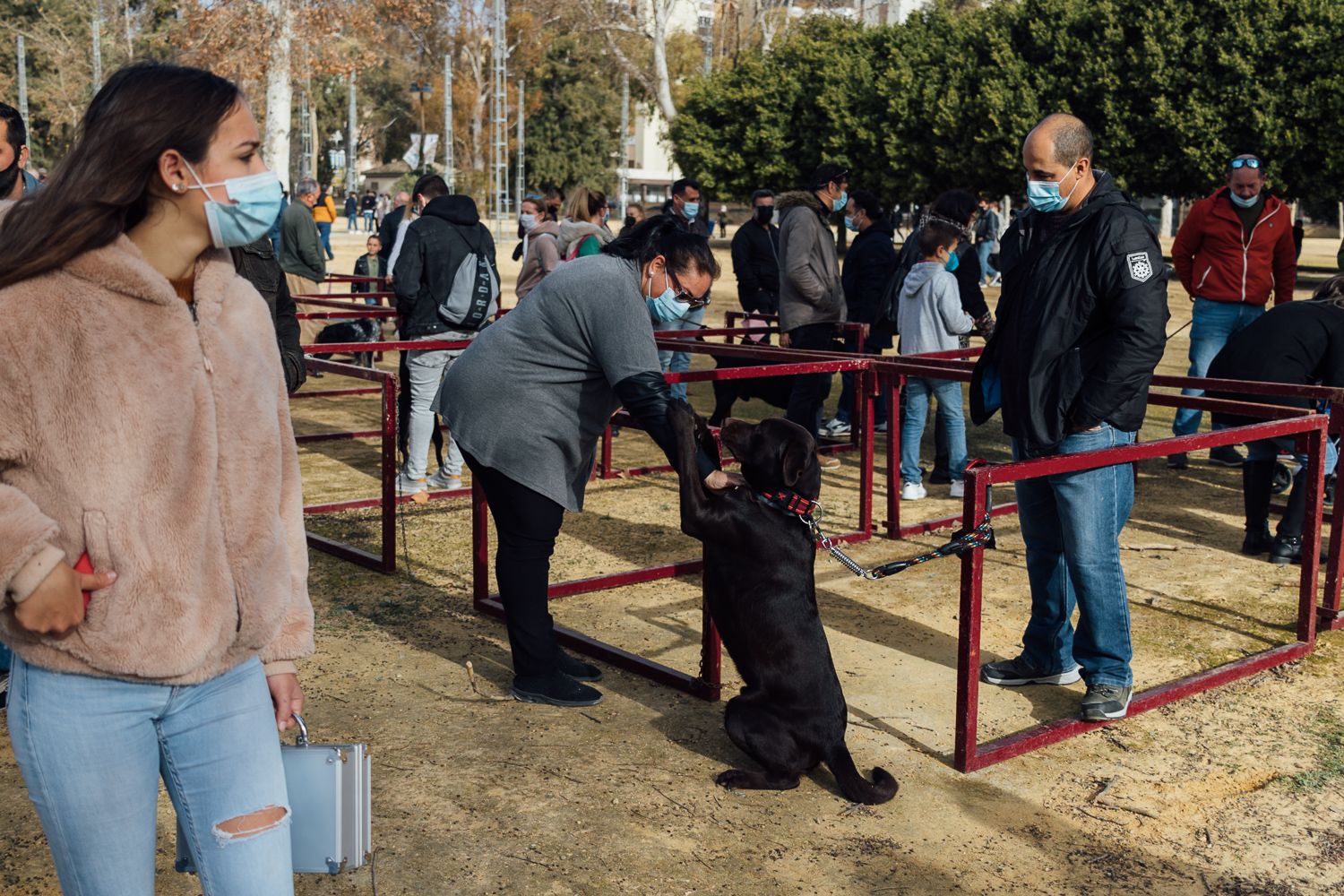 San Antón 2022 41. San Antón 2022 41.