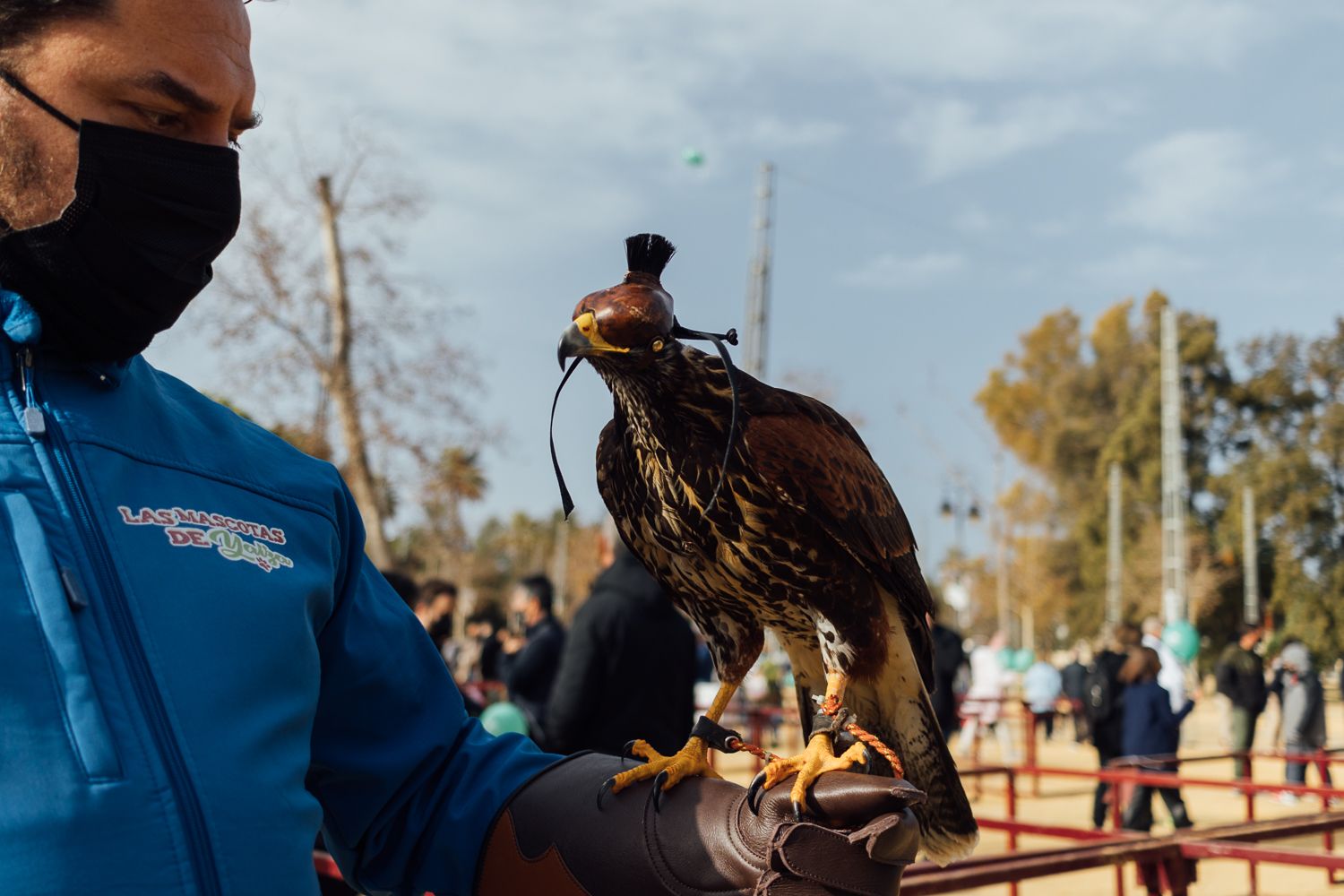 San Antón 2022 28. San Antón 2022 28.