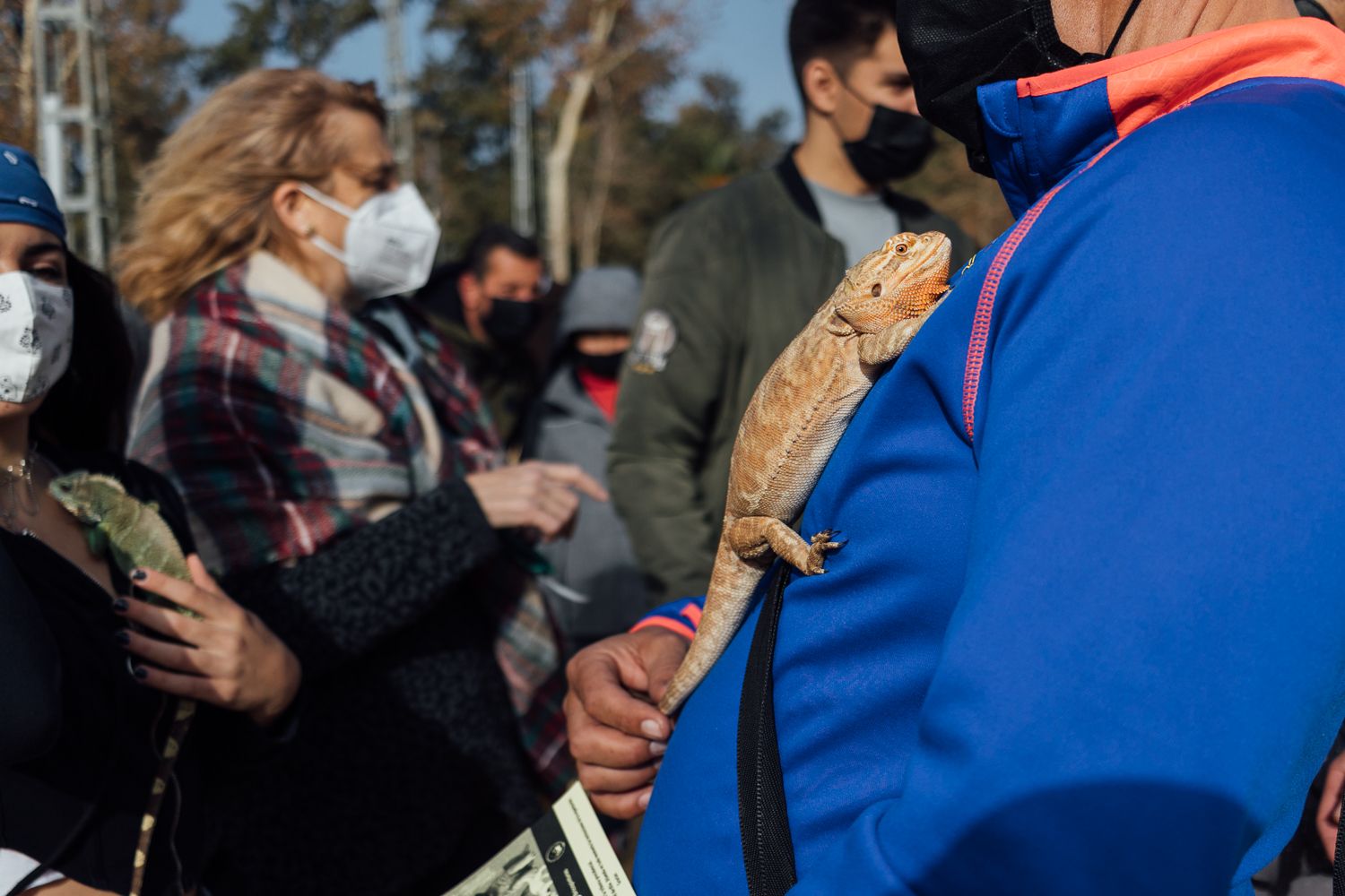 San Antón 2022 30. San Antón 2022 30.