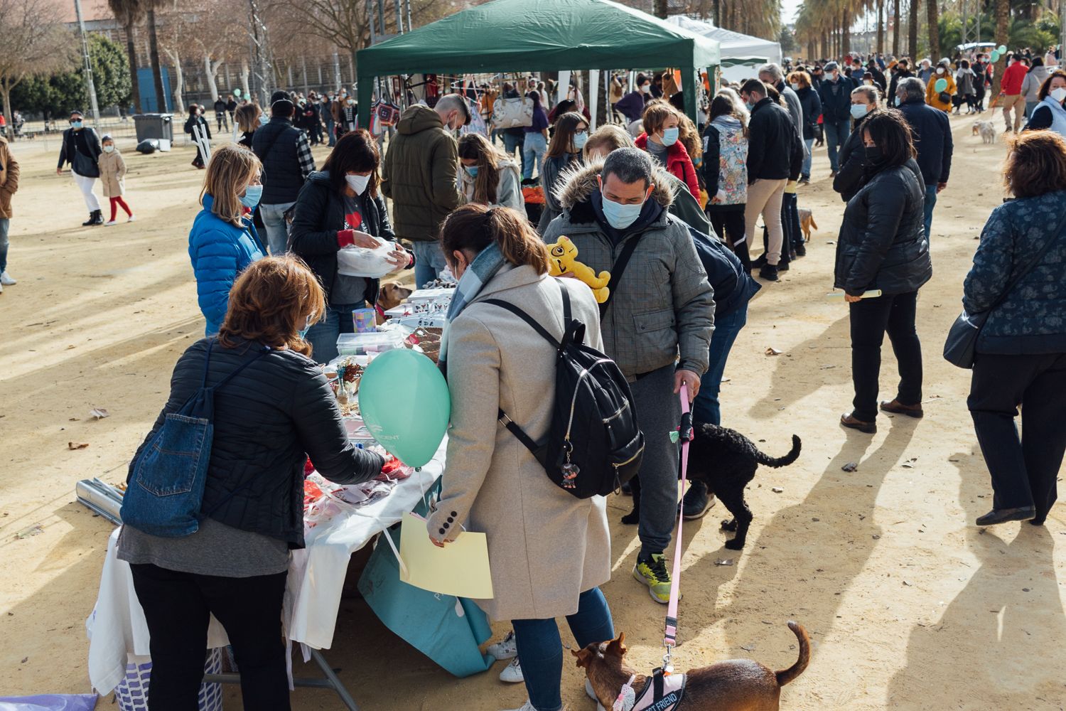 San Antón 2022 38. San Antón 2022 38.