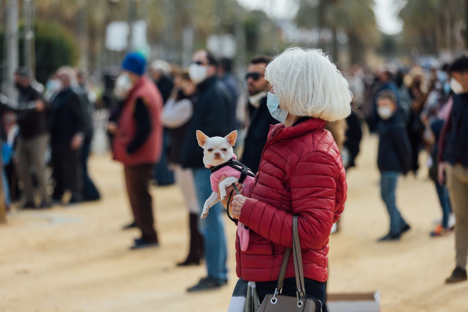 San Antón 2022 35. San Antón 2022 35.