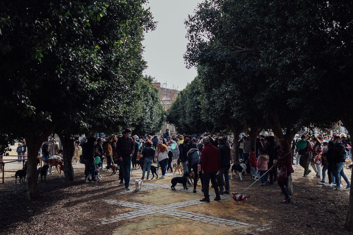 San Antón 2022 33. San Antón 2022 33.