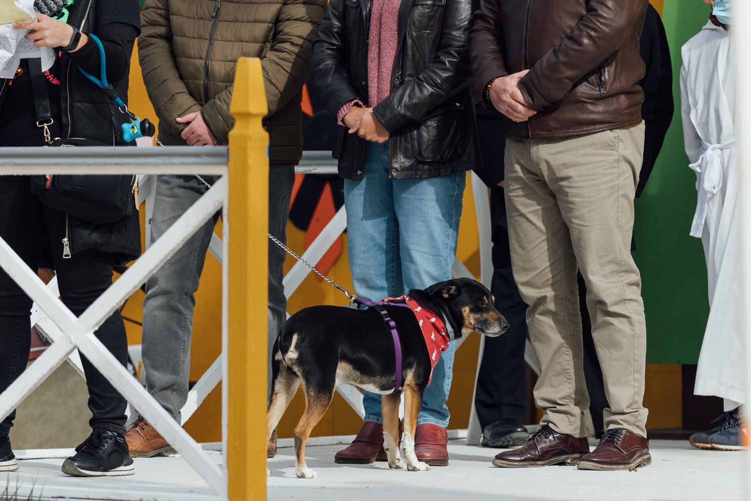 San Antón 2022 25. San Antón 2022 25.