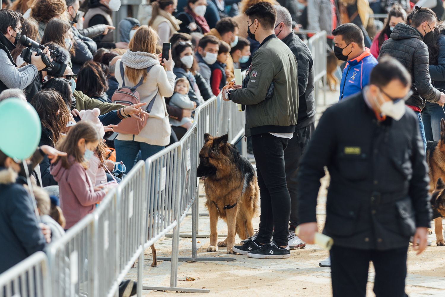 San Antón 2022 23. San Antón 2022 23.
