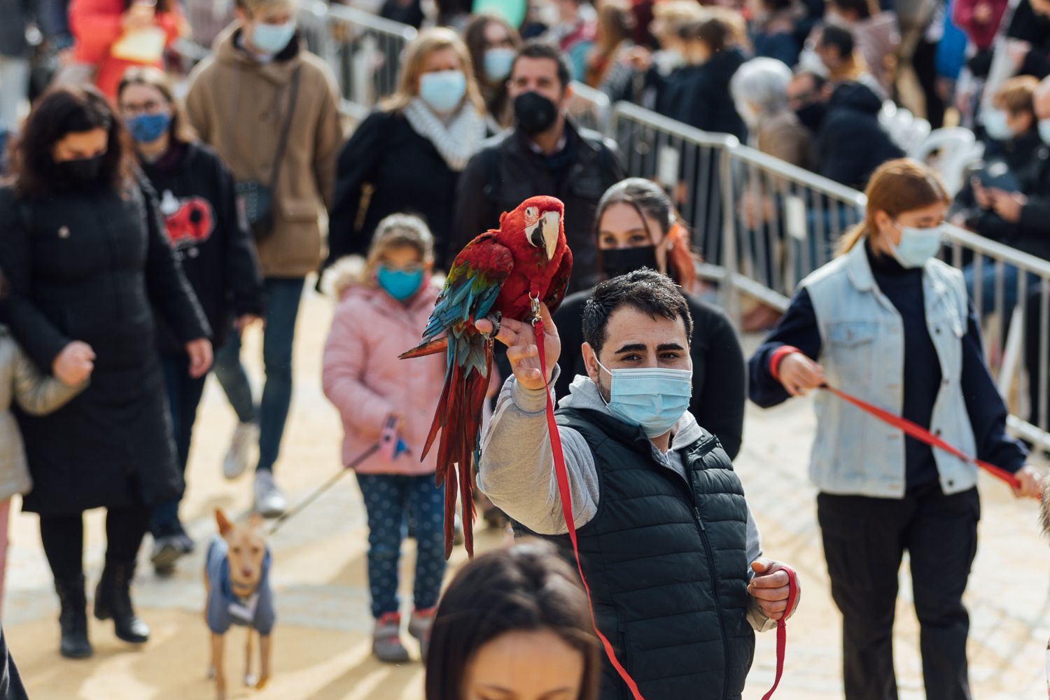 San Antón 2022 22. San Antón 2022 22.