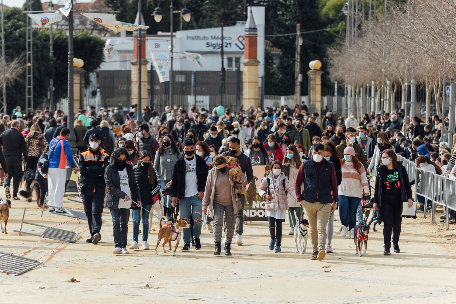 Fiesta de San Antón en Jerez, en su última edición. Fiesta de San Antón en Jerez, en su última edición.