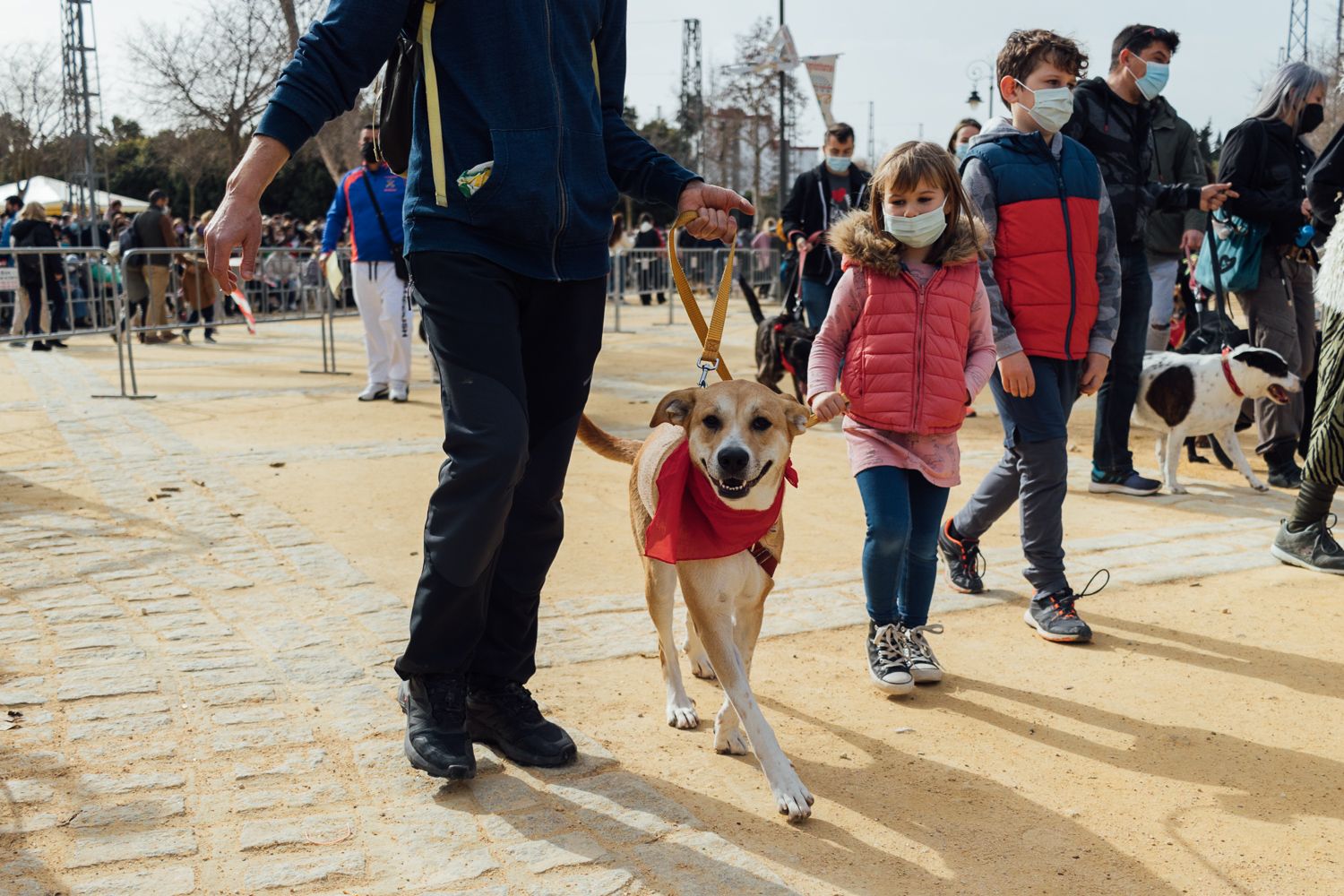 San Antón 2022 20. San Antón 2022 20.