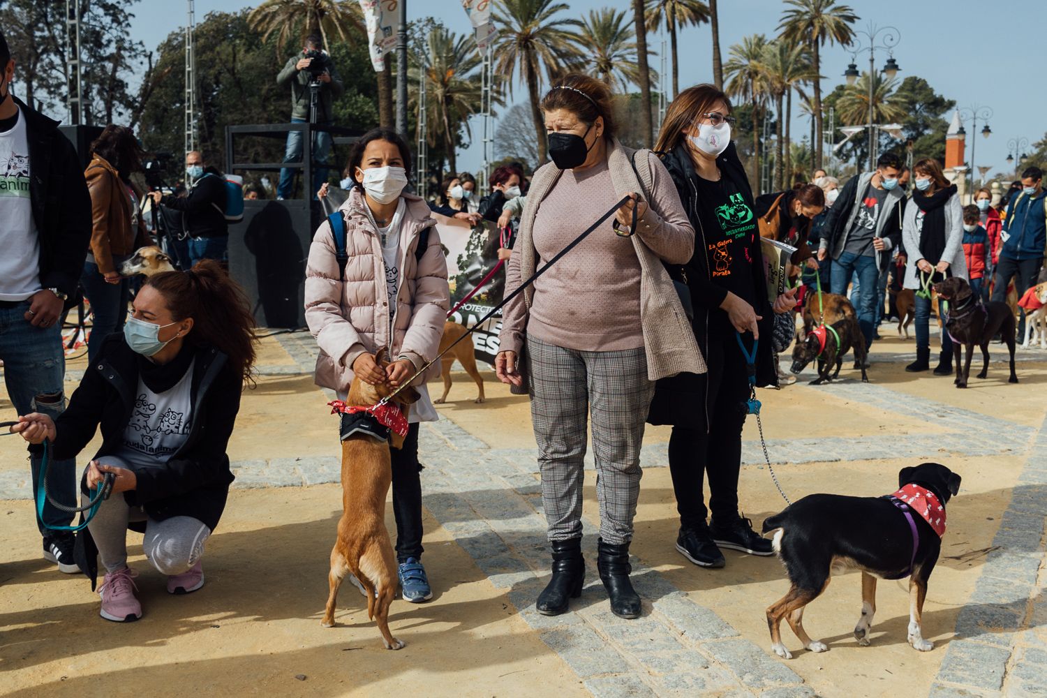 San Antón 2022 21. San Antón 2022 21.