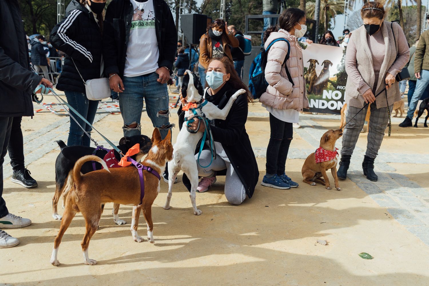 San Antón 2022 14. San Antón 2022 14.