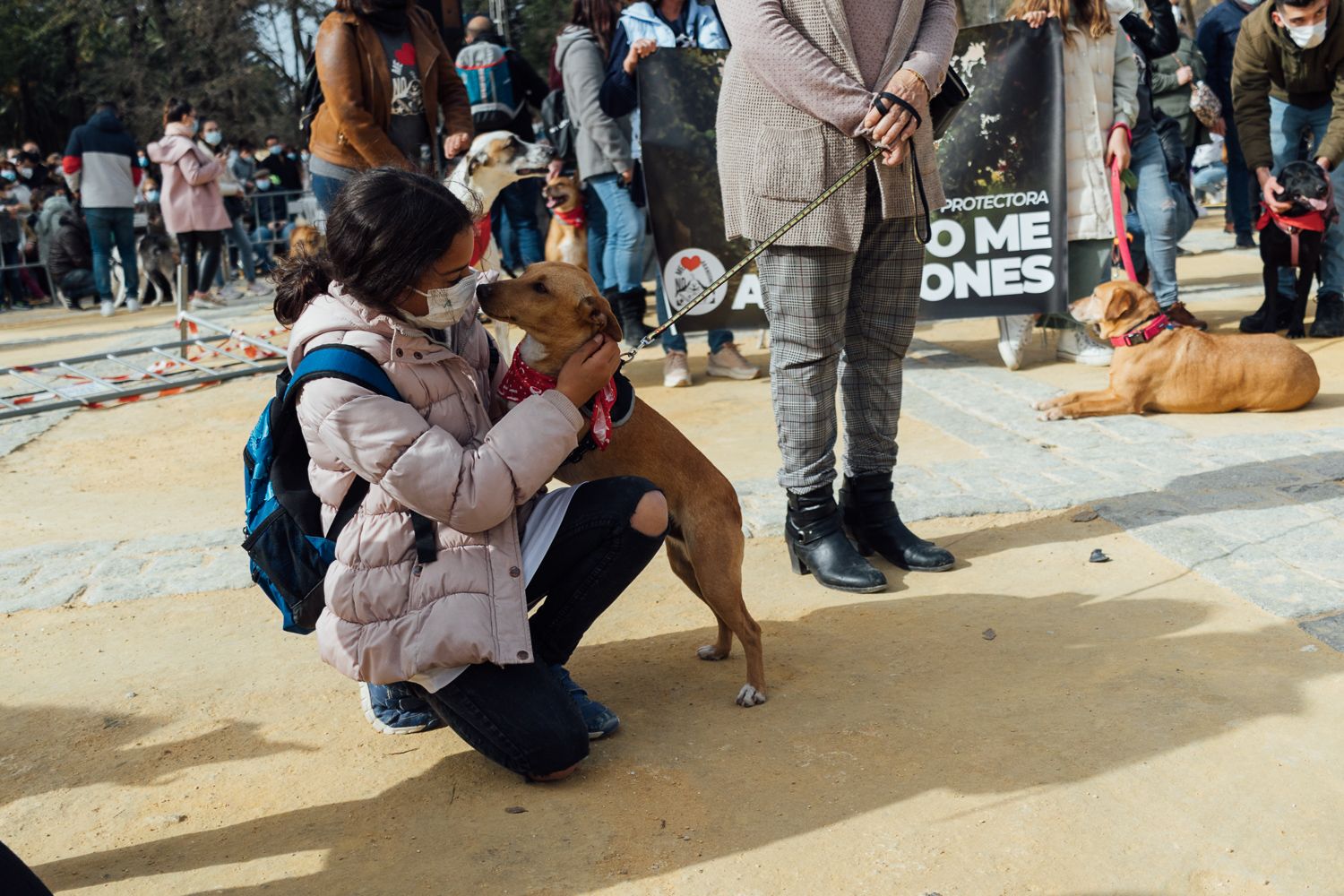 San Antón 2022 11. San Antón 2022 11.