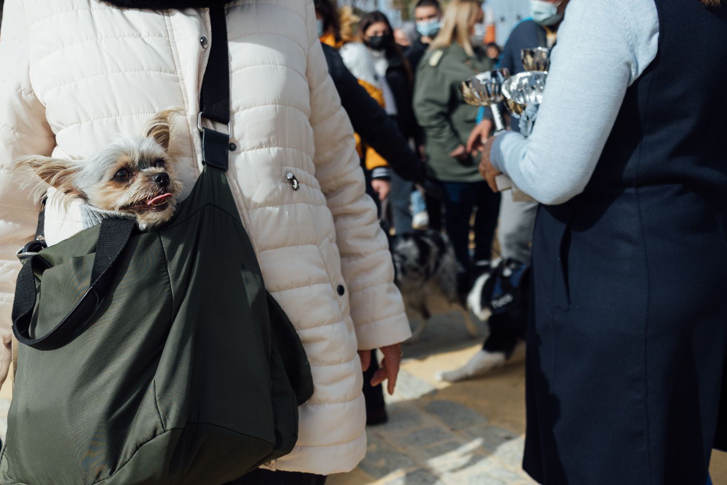 San Antón 2022 12. San Antón 2022 12.