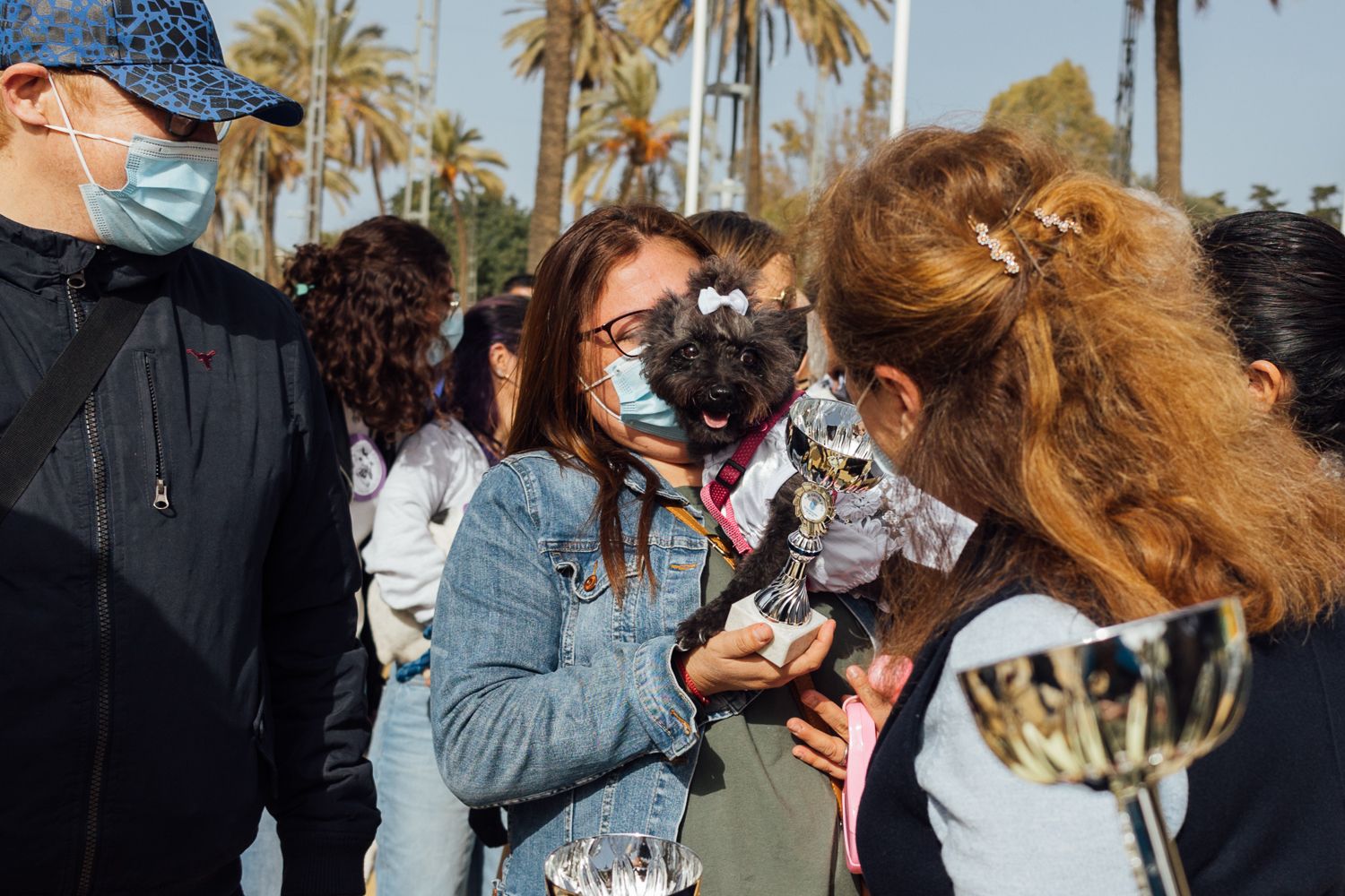 San Antón 2022 10. San Antón 2022 10.