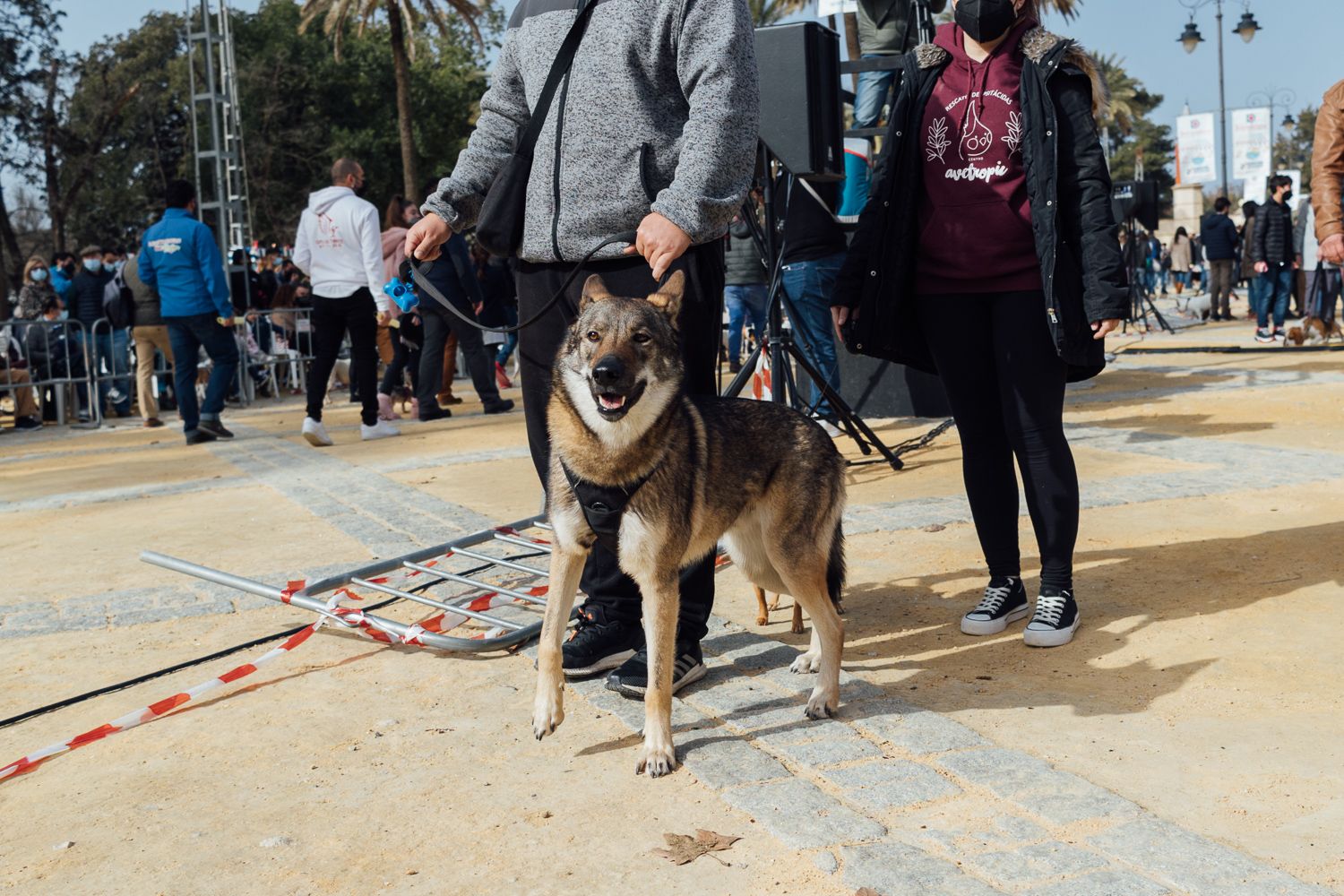San Antón 2022 5. San Antón 2022 5.