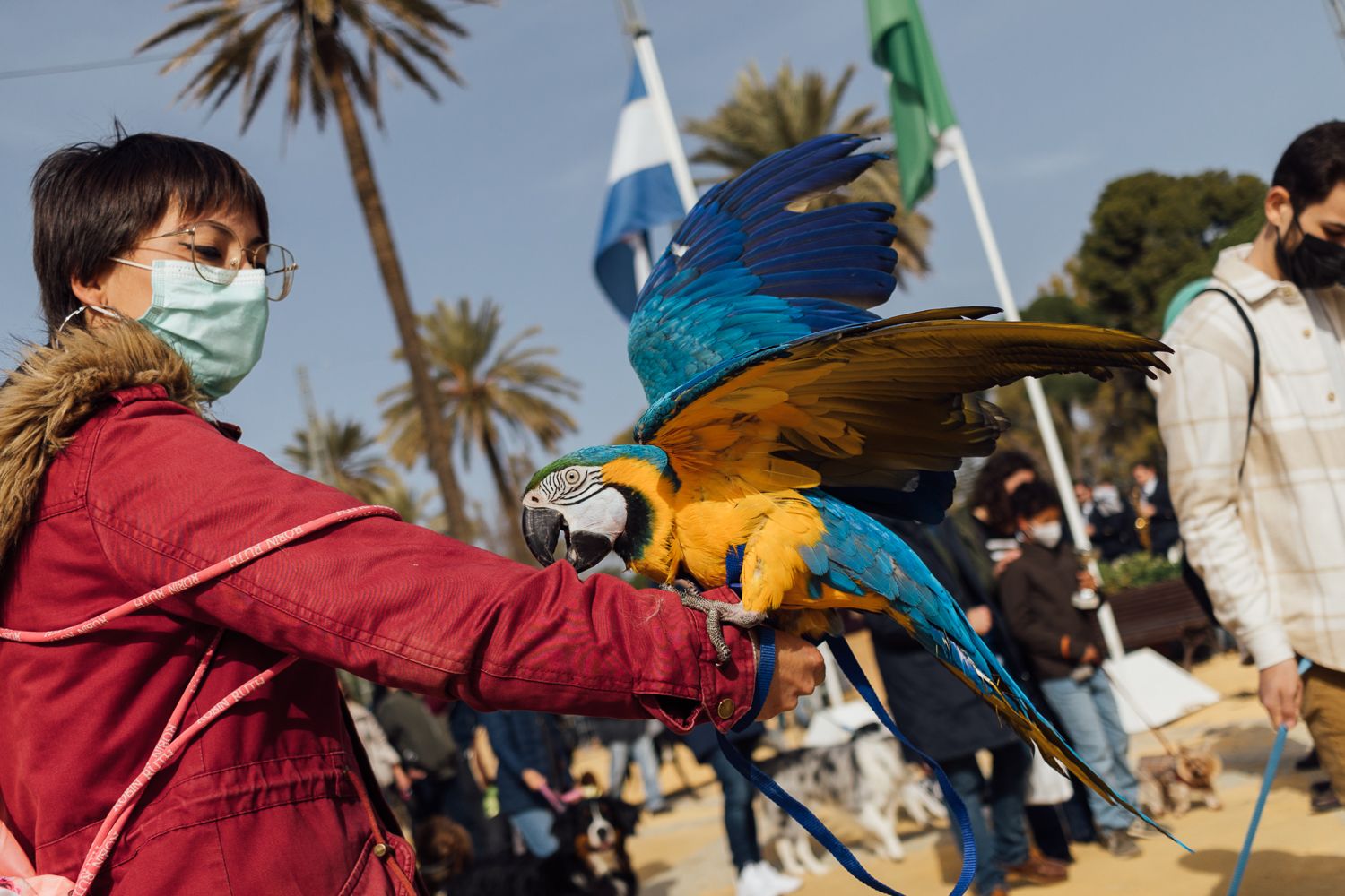 San Antón 2022 9. San Antón 2022 9.