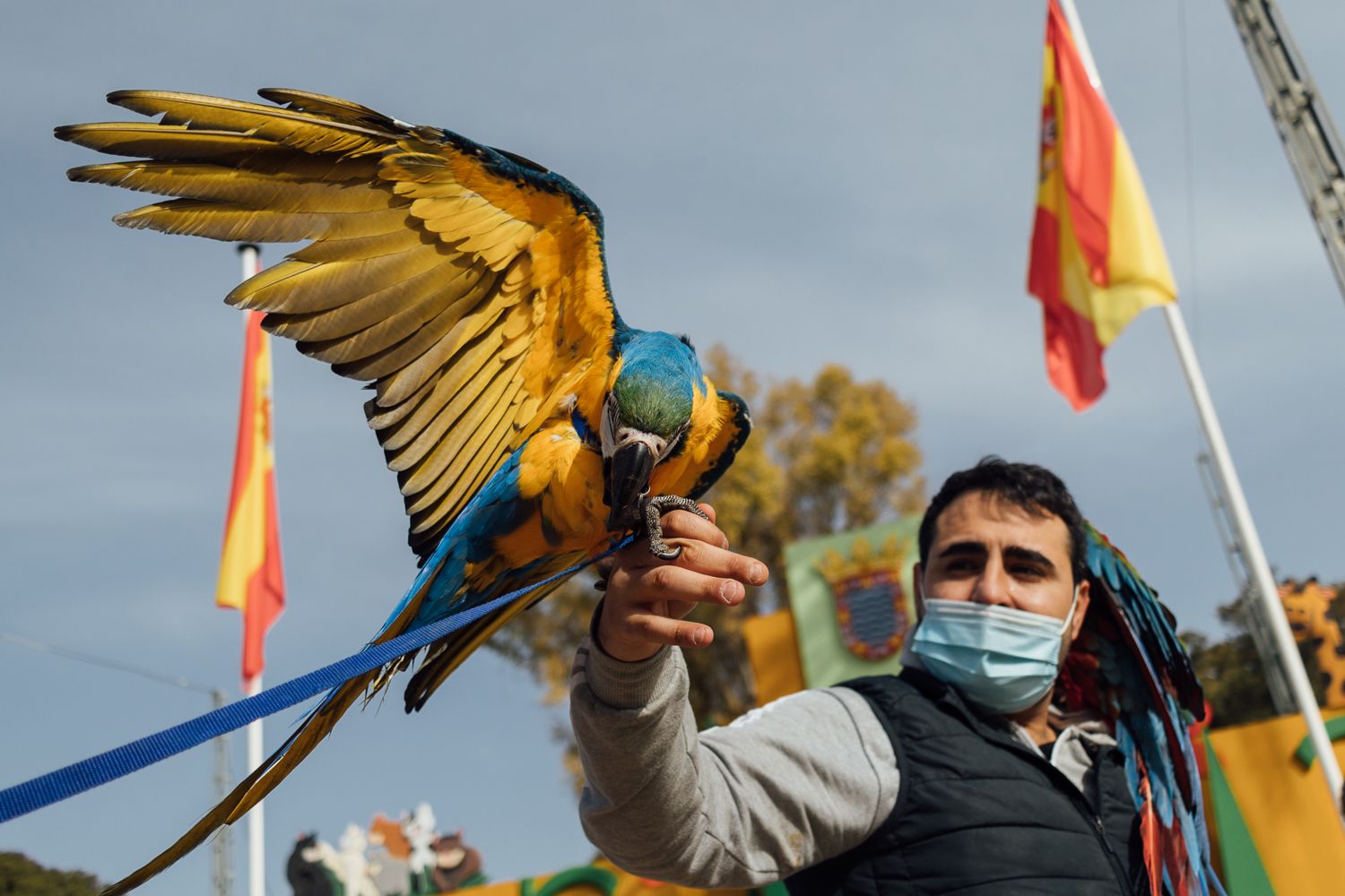 San Antón 2022 6. San Antón 2022 6.