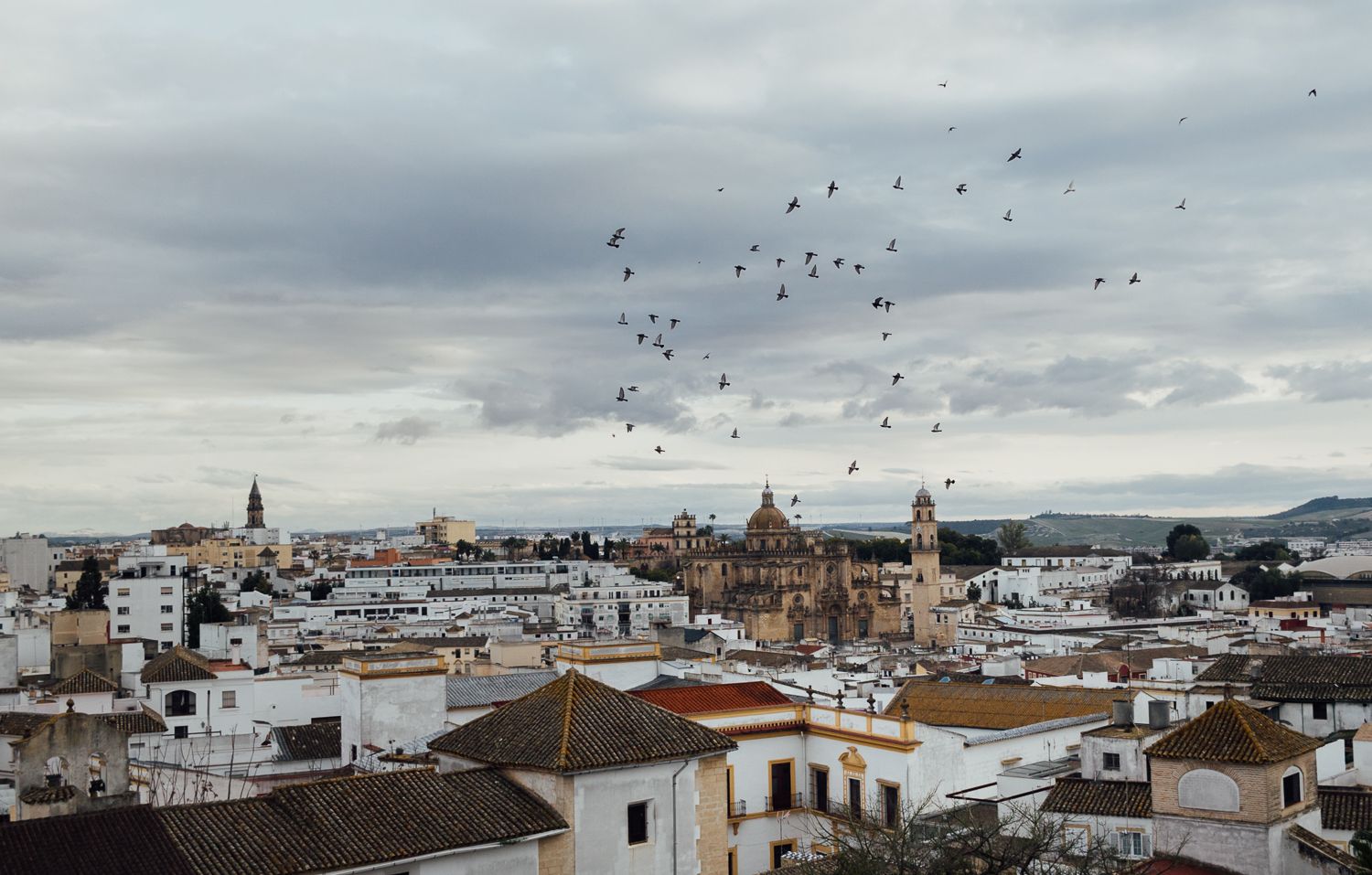 Vista del centro de Jerez desde San Juan de los Caballeros.